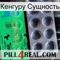 Кенгуру Сущность new04